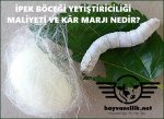 İPEK BÖCEĞİ YETİŞTİRİCİLİĞİ MALİYETİ VE KÂR MARJI.jpg