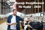 Buzağı Desteklemesi Ne Kadar - 2020.jpg